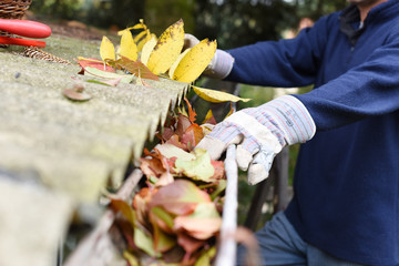 Gutter Cleaning Tips