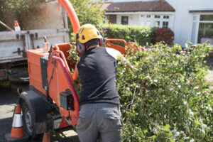 Tree Service